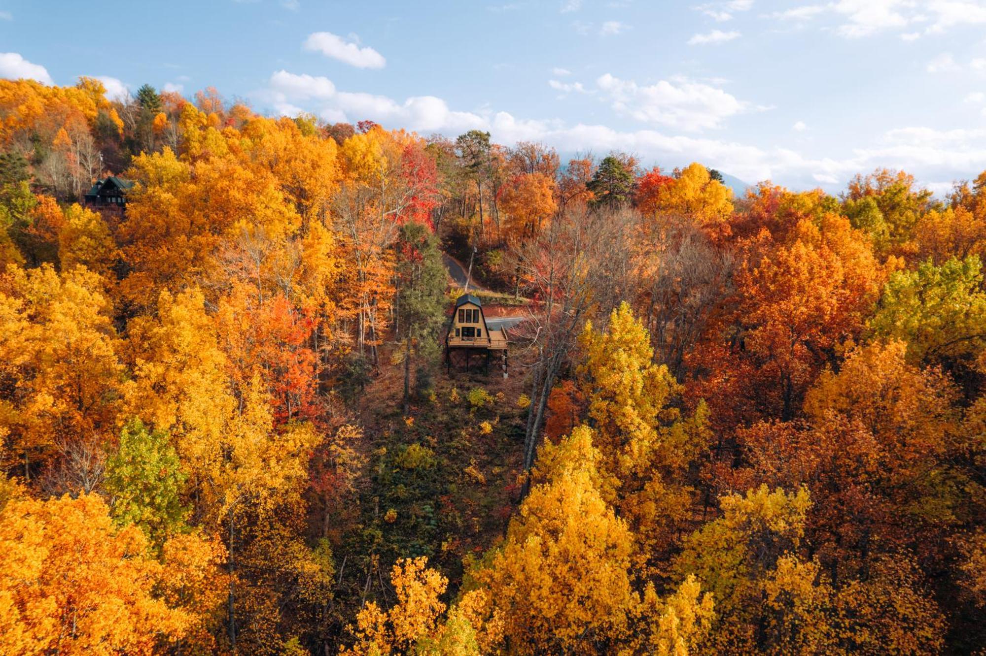 Secluded Mtn View New! 10 Mins To Gatlinburg Or Park Villa Exterior photo